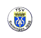 Zur Webseite des TSV Sielmingen